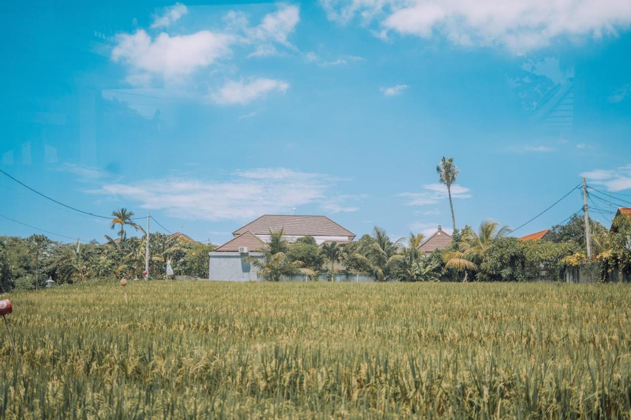 Gajah Villa By Betterplace ชังกู ภายนอก รูปภาพ
